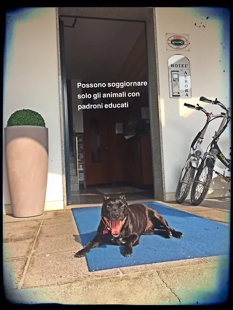 Hotel Aurora Treviso 2*,